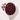 Hibiscus Flower Herbal Tea in a measuring scoop