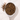 Hojicha Green Tea in a measuring scoop