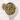 Kukicha Green Tea in a measuring scoop