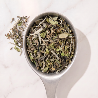 Pai Mu Tan White Tea in a measuring scoop