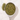 Peppermint Herbal Tea in a measuring scoop