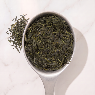 Sencha Isagawa Green Tea in a measuring scoop