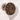 Voyage en Toscane Green Tea in a measuring scoop