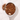 Bourbon Vanilla Rooibos Tea in a measuring scoop