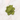 Strawberry Matcha